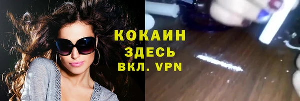 индика Алексин