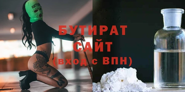 индика Алексин
