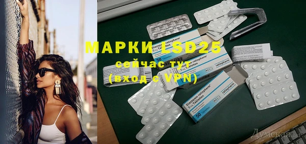 индика Алексин