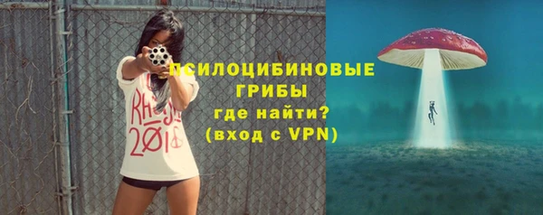 индика Алексин