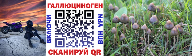 Галлюциногенные грибы мицелий купить сайты Борзя
